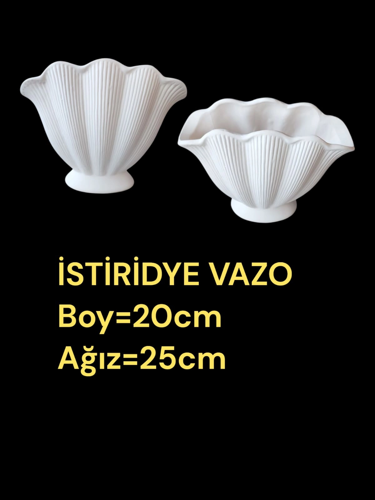 İstiridye Vazo Alçı Kalıp 