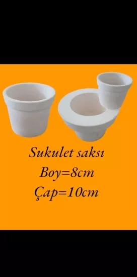 Sukulet Saksı Alçı Kalıp 
